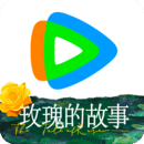 北京奕女神