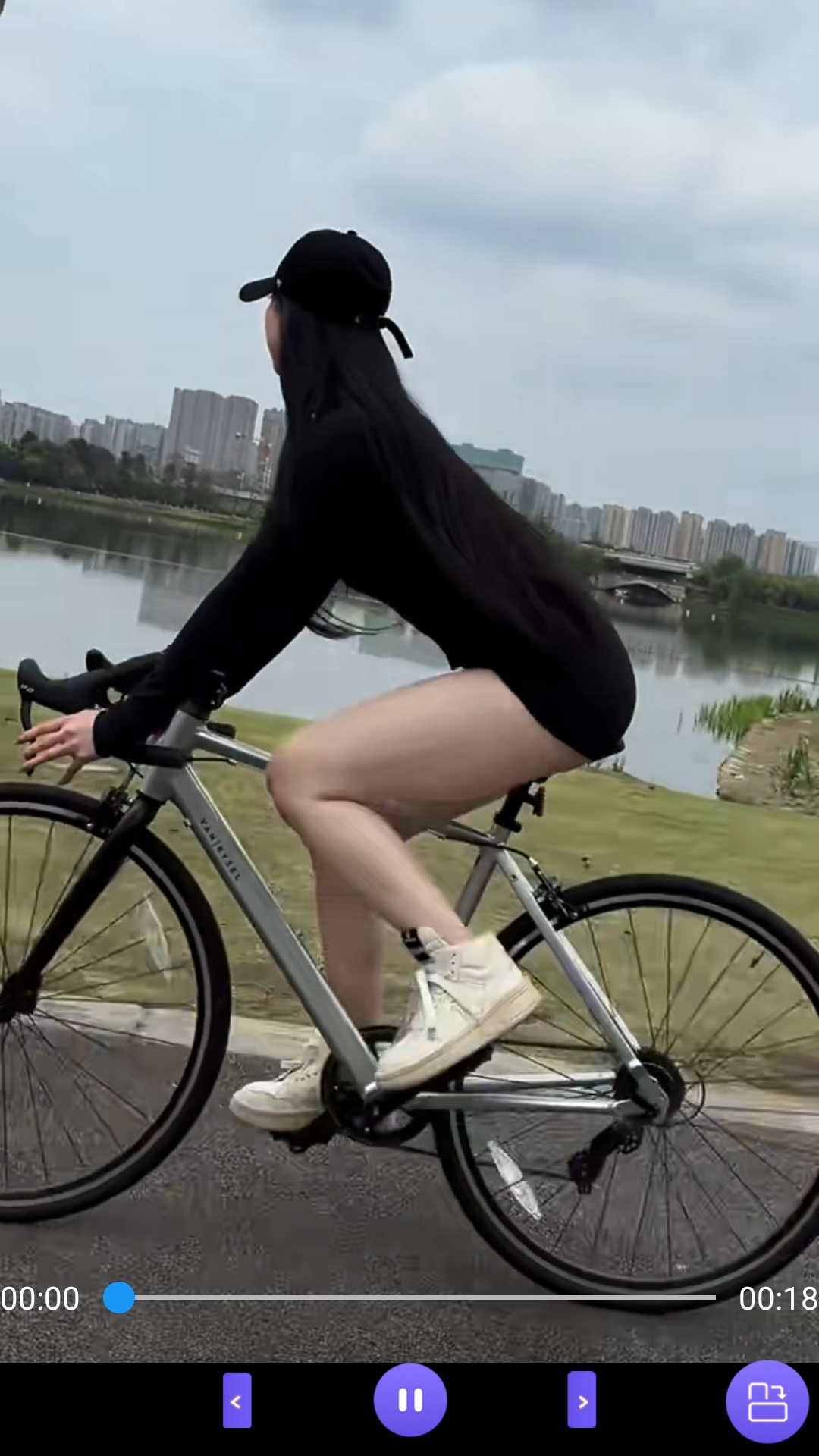 桃鹿梵高截图